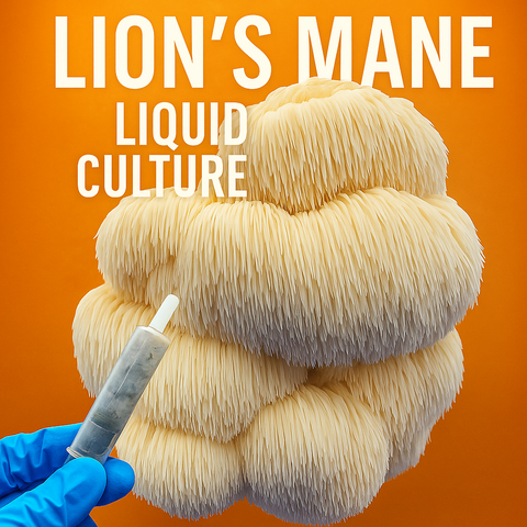 Lions Mane (Hericium erinaceus) Liquid Culture