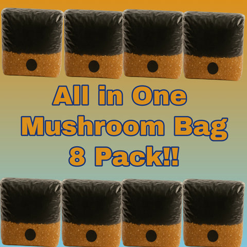 All in One Mushroom Grow Bag- 8 Pack!!!