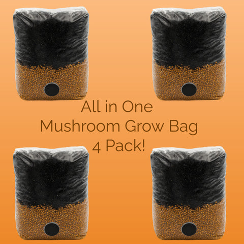 All in One Mushroom Grow Bags-4 Pack!!