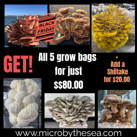 All Grow Bag Combo!