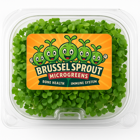 Brussel Sprout Microgreens