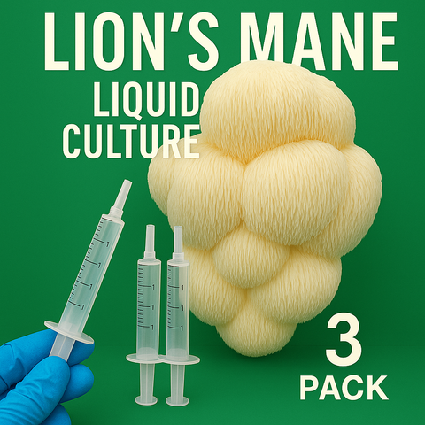 3 Pack- Lions Mane (Hericium erinaceus) Liquid Culture
