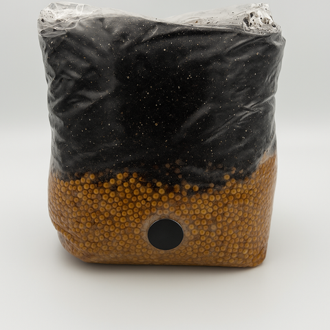 ALL IN ONE MUSHROOM GROW BAG