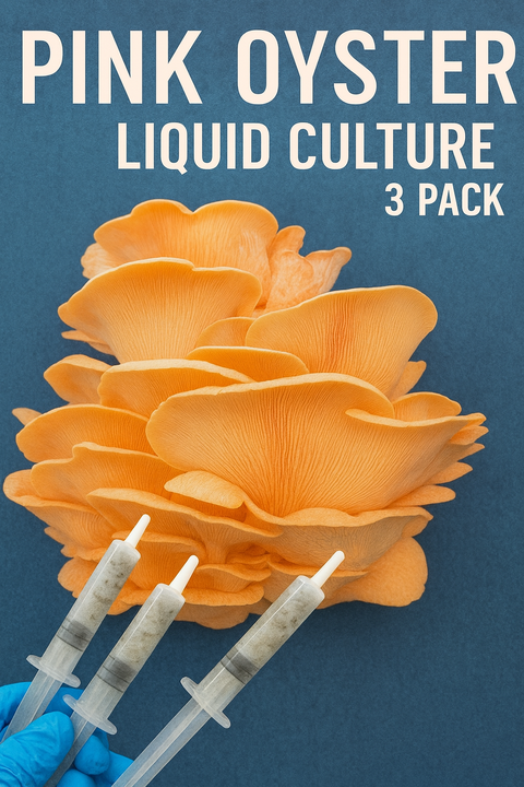 3 Pack- Pink Oyster (Pleurotus djamor) Liquid Culture