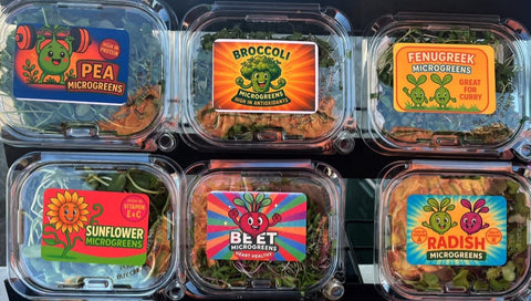 Superfood Microgreens