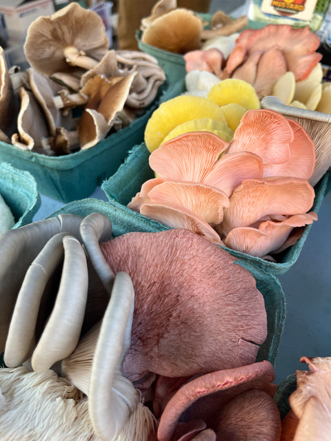 Mushroom Lovers Subscription