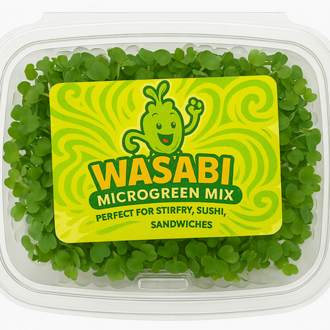 Wasabi Microgreens