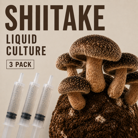 3 Pack-- Shiitake (Lentinula edodes)  Liquid Culture 10ml Syringe