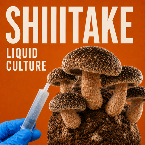 Shiitake (Lentinula edodes) Liquid Culture 10ml Syringe
