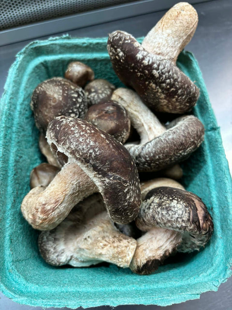 Fresh Harvested Shiitake Mushrooms